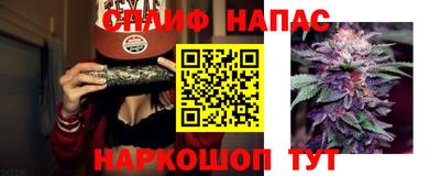 прущие грибы Пушкино