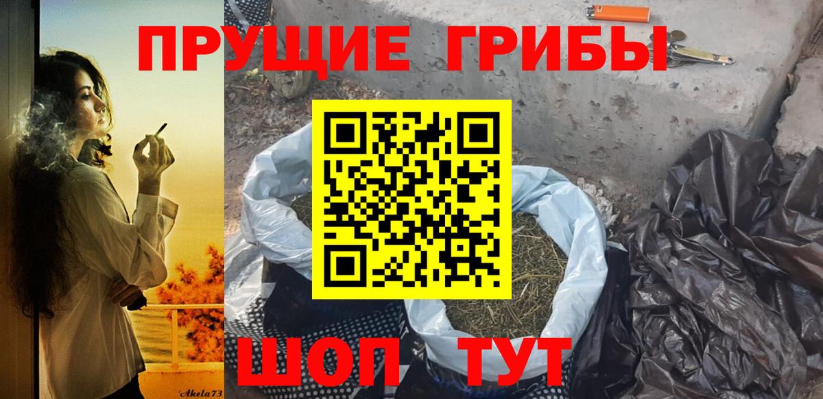 Псилоцибиновые грибы Psilocybine cubensis  магазин  наркотиков  Псилоцибиновые грибы Cubensis  Сердобск  Вход с VPN 