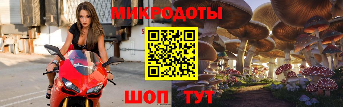 Псилоцибиновые грибы Psilocybine cubensis Сердобск
